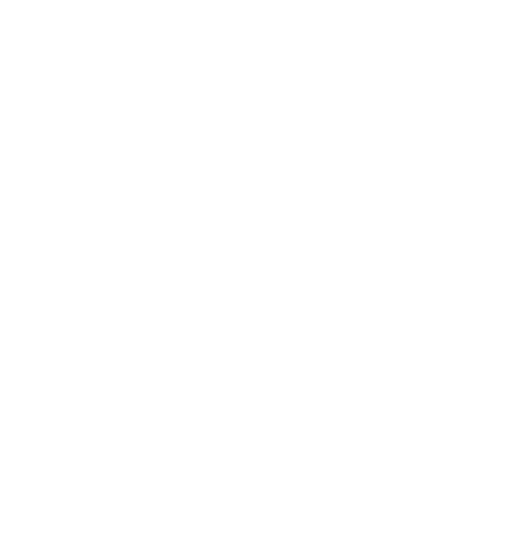 David_Bormans